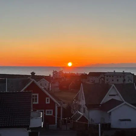 Havbris *