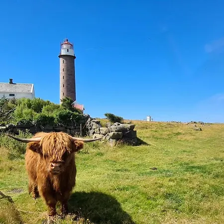 Havbris Farsund